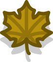 Autumn leaf